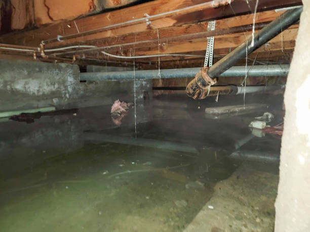 Best Basement water damage restoration  in Deep River Center, CT