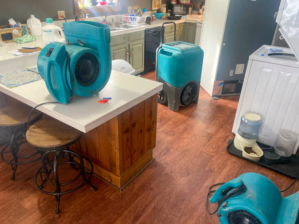 Best Ceiling water damage repair  in Deep River Center, CT