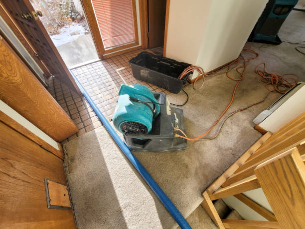 Best Residential water damage restoration  in Deep River Center, CT