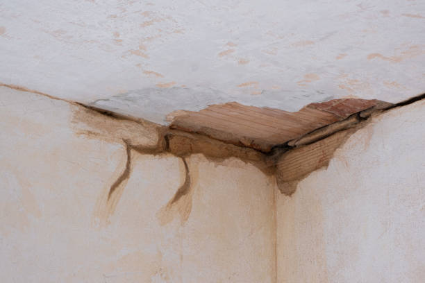 Best Flood restoration services  in Deep River Center, CT