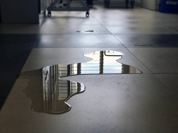 Best Professional water damage repair  in Deep River Center, CT