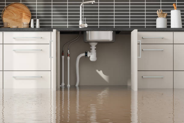 Best Fire Damage Restoration  in Deep River Center, CT
