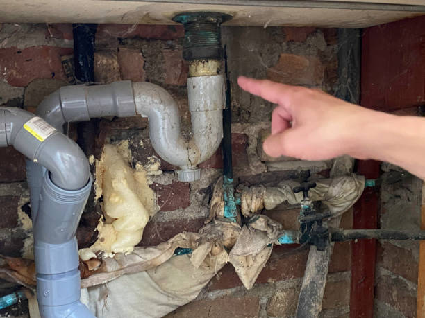 Best Mold removal after water damage  in Deep River Center, CT