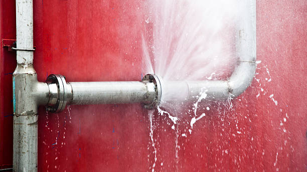 Best Mold removal after water damage  in Deep River Center, CT